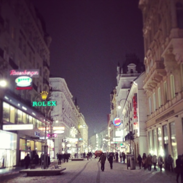 Vienna in snow